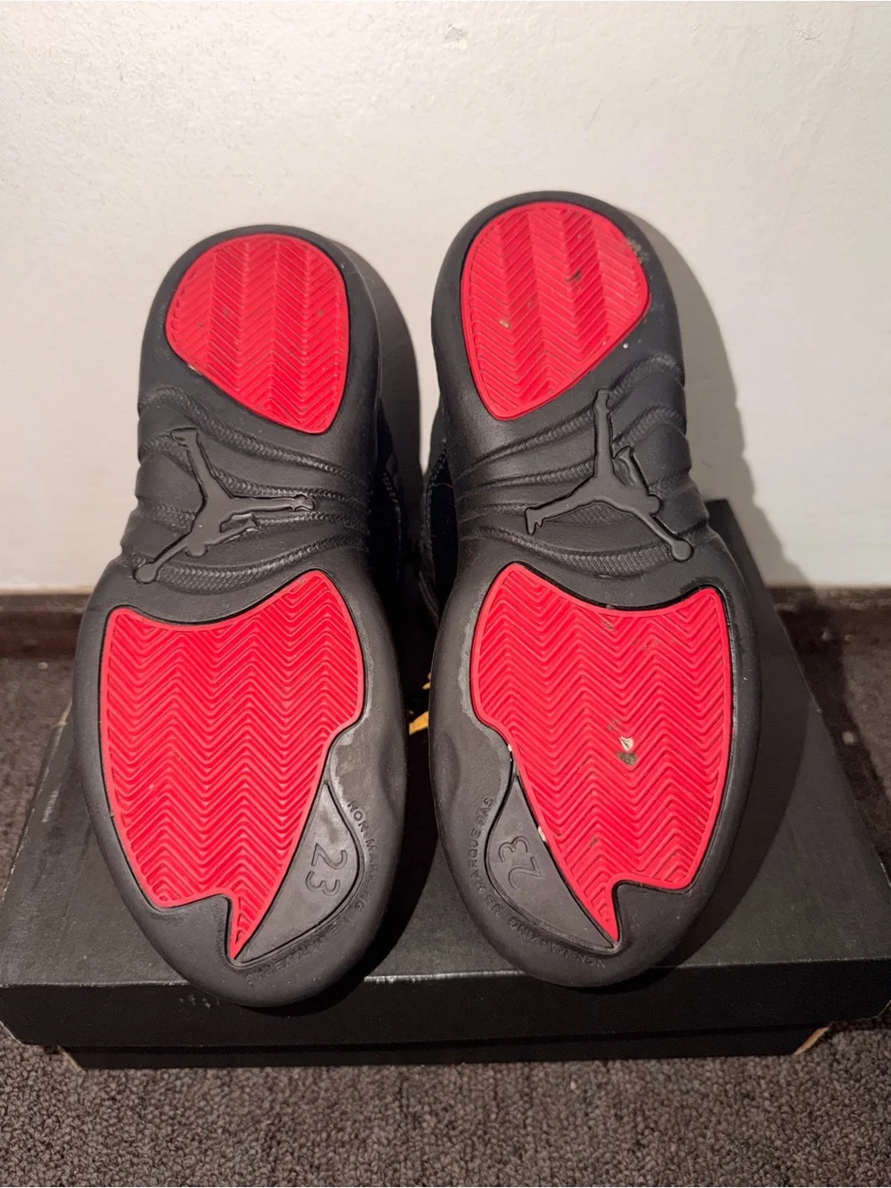 Jordan 12 black